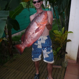 Prise rare en Martinique, une carpe rouge (Lutjanus cyanopterus) capturée au jig (tresse 50 lb) depuis un kayak par Jérôme Letellier. 10 mn de combat pour l’amener en surface !