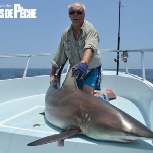 Carlo Aimonetti a pris ce requin bronze au lancer avec un au stickbait alors qu’il recherchait la carpe rouge avec le guide Olivier Charpentier.