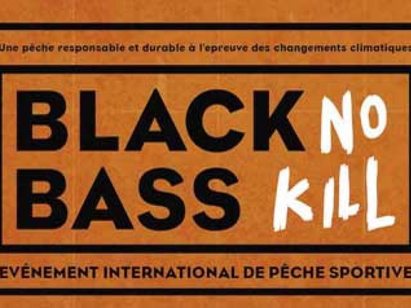 Maroc: Black Bass No Kill